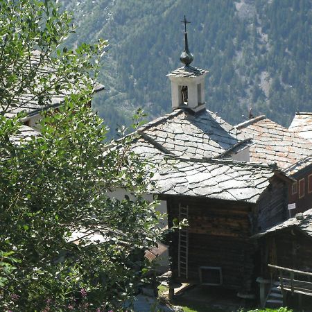 Alpia 26 - Zwei Zimmerwohnung In Traditionellem Walliser Haus Gasenried Dış mekan fotoğraf