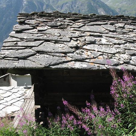 Alpia 26 - Zwei Zimmerwohnung In Traditionellem Walliser Haus Gasenried Dış mekan fotoğraf