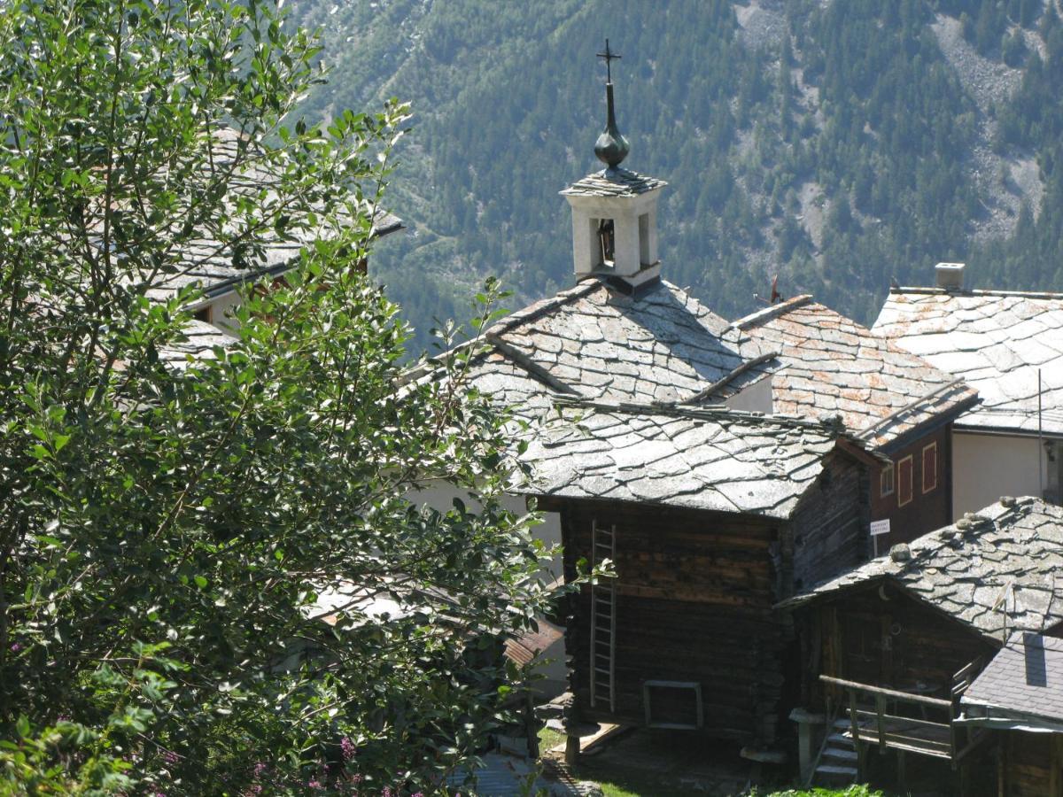 Alpia 26 - Zwei Zimmerwohnung In Traditionellem Walliser Haus Gasenried Dış mekan fotoğraf