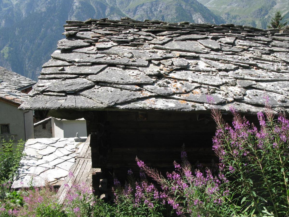 Alpia 26 - Zwei Zimmerwohnung In Traditionellem Walliser Haus Gasenried Dış mekan fotoğraf