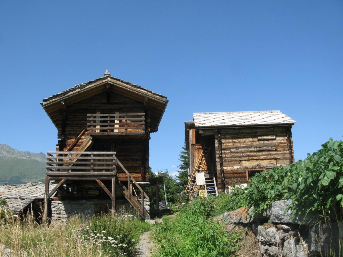 Alpia 26 - Zwei Zimmerwohnung In Traditionellem Walliser Haus Gasenried Dış mekan fotoğraf
