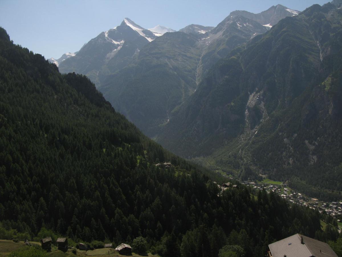 Alpia 26 - Zwei Zimmerwohnung In Traditionellem Walliser Haus Gasenried Dış mekan fotoğraf